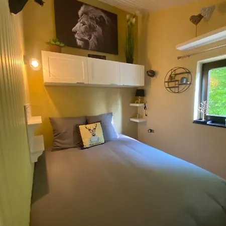 Repere Du Cerf * Virton